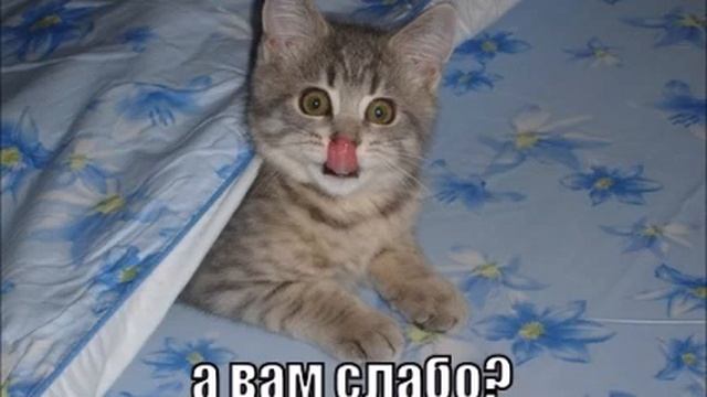 A TASTE OF RUSSIAN PODCAST #386 – А ВАМ СЛАБО?