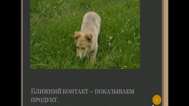 Как научиться продавать 2 Этапы первого контакта с клиентом