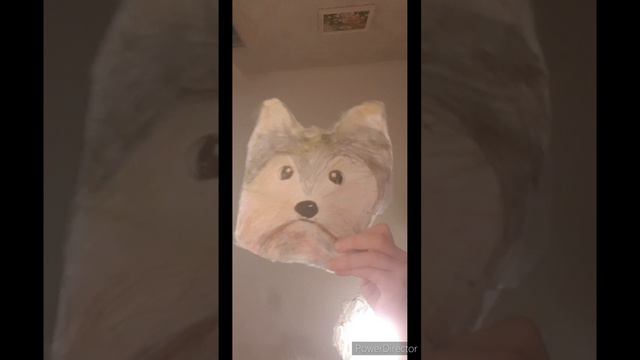 моя собачка Пуся сквиш