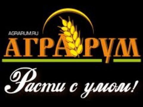 ВЫРАЩИВАНИЕ СОРГО Вебинар с А.З.  Большаковым