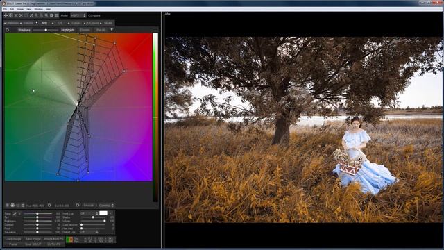 Look manager in 3D LUT Creator