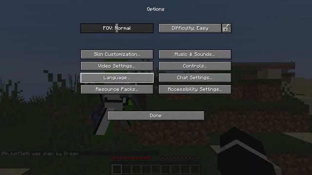 Minecraft But I Only Install Bad Mods