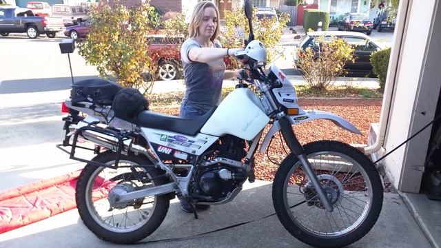 XT225 Delkevic 14 Inch Oval Exhaust