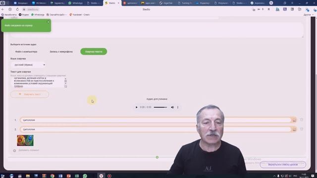 Озвучивание текста, подготовка ключевых слов и использование видео в Stedio
