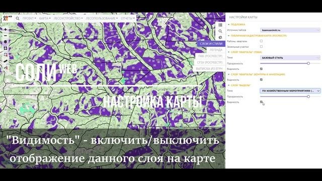 Настройки картографических отображений в СОЛИweb