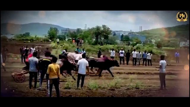 Nonstop Bailgada song | bailgada sharyat song | Mahesh Kene | Sonali Bhoir | #bailgadasharyat