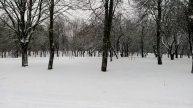 Почему Я ХОЧУ УЕХАТЬ ИЗ СТРАНЫ
