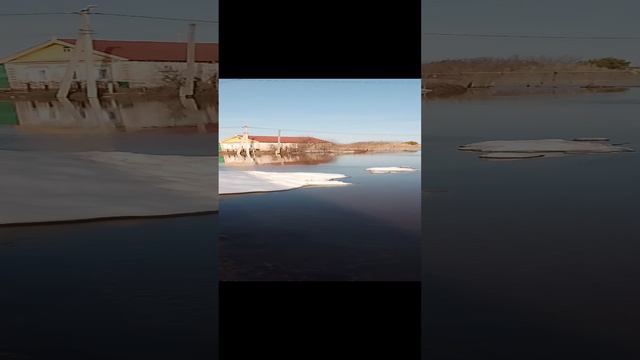 Наводнение в Оренбуржье1000043533.mp4