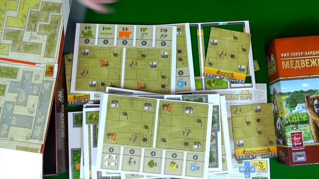 Знакомство с настольной игрой "Медвежий парк"