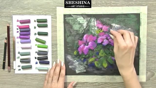 How to draw Petunia with soft pastels 🎨 Flowers