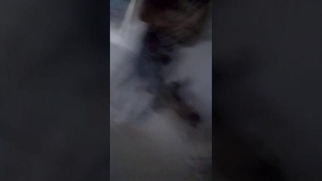 могу ходить Я сломал палец на ноге