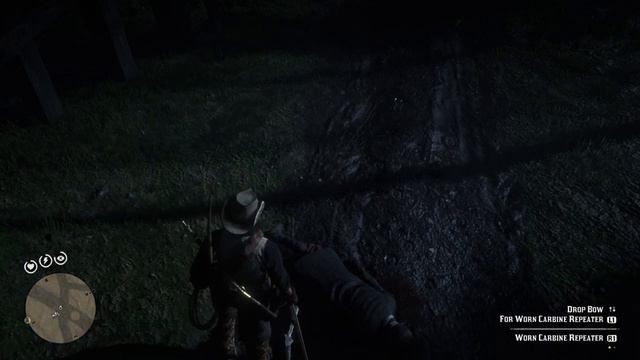 Red Dead Redemption 2 Accidental Lasso'd