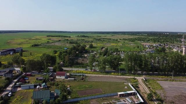 Наши курицы не едят дыню...зато короеды едят Ясень.