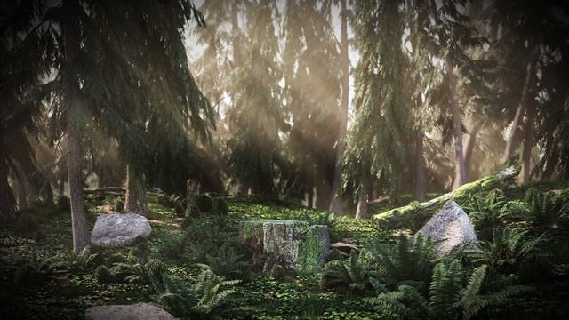 Нежный и крепкий СОН, глубокий релакс и успокоение нервной системы. 3 часа!