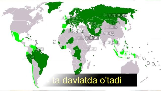 O'zbekiston haydovchilik guvohnomasi chet elda tan olinadimi?