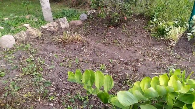 ПОДГОТОВКА ЦВЕТНИКА К ЗИМЕ! СДАЛИ МЕТАЛЛОЛОМ!