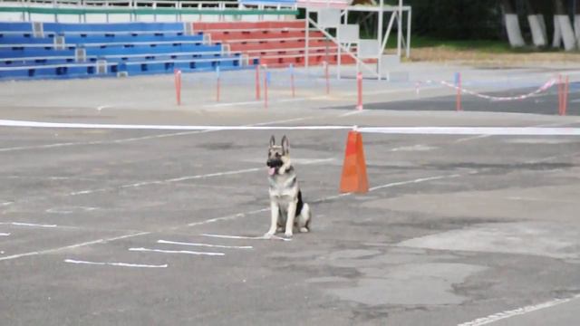Хангрей