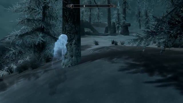 Skyrim. Ghost ????
