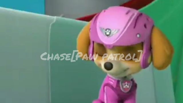 Paw patrol 💙💎[heartbreaking]💙💎