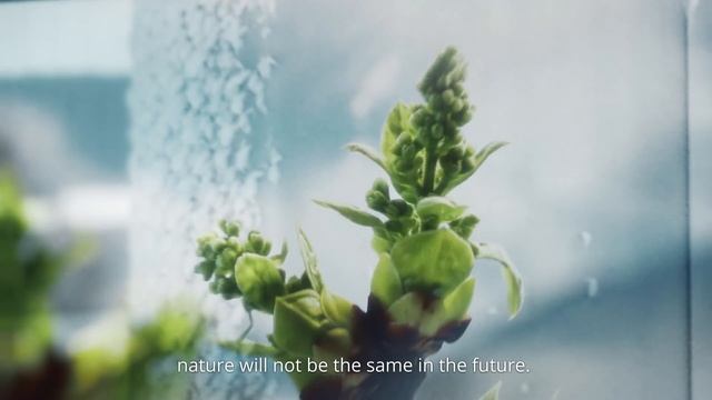Save the Seasons