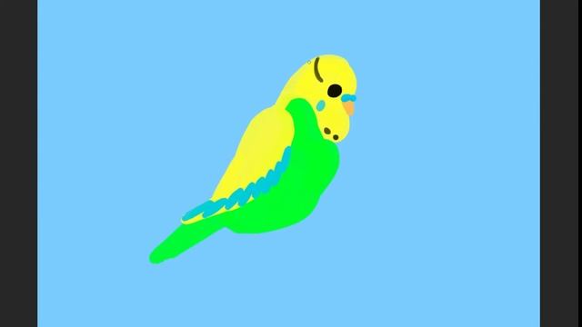Как нарисовать волнистого попугая How to draw a budgie