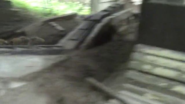 Братство рыболовов и охотников 