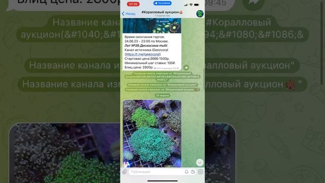 24.06.2023 супер аукцион на нашем телеграмм канале