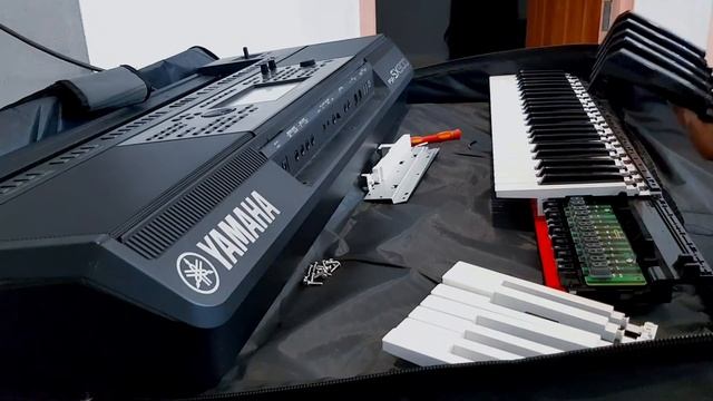 YAMAHA PSR-SX900-PSR-SX700 repairing dead keys. Whats inside?
