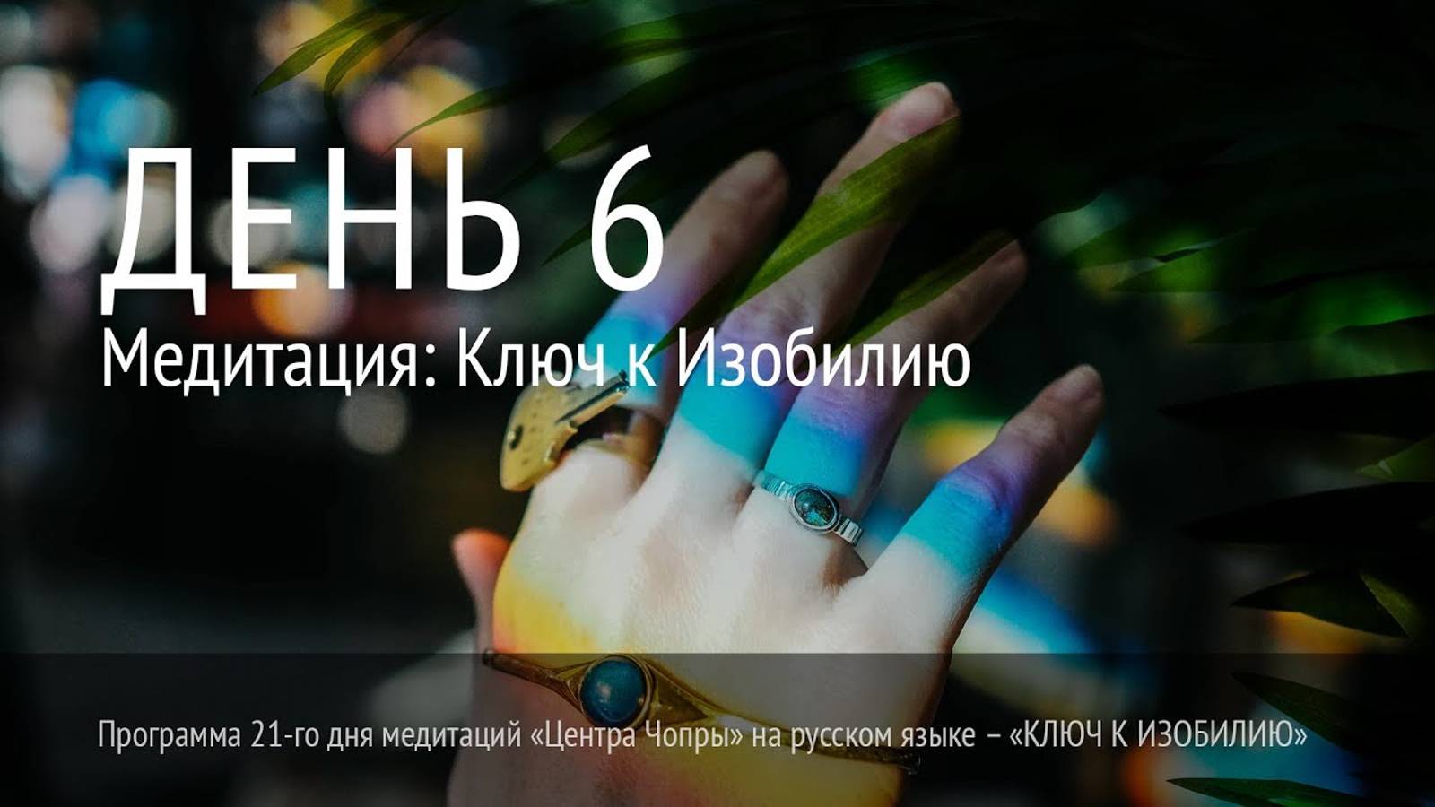 День 6. Марафон Изобилия. хорошая озвучка. Дипак Чопра. 21 день изобилия