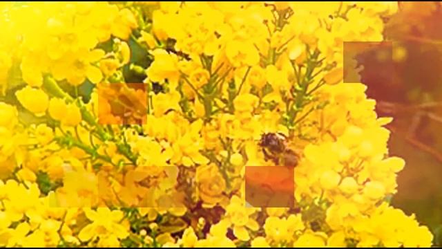 КЛАССНОЕ #ВИДЕО С КРАСИВОЙ #МУЗЫКОЙ ( ПРИРОДА)