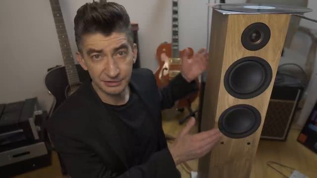 Бюджетный Hi-Fi в одной коробке: активная напольная акустика Triangle LN05A