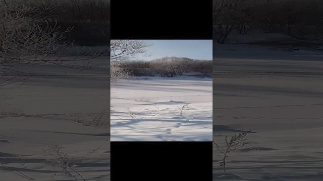Мороз и солнце