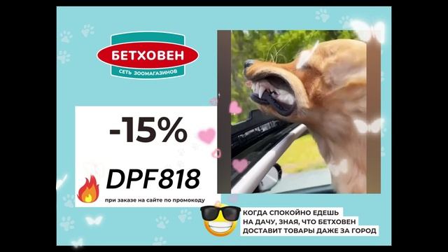 МЕГАСКИДКИ в Бетховен