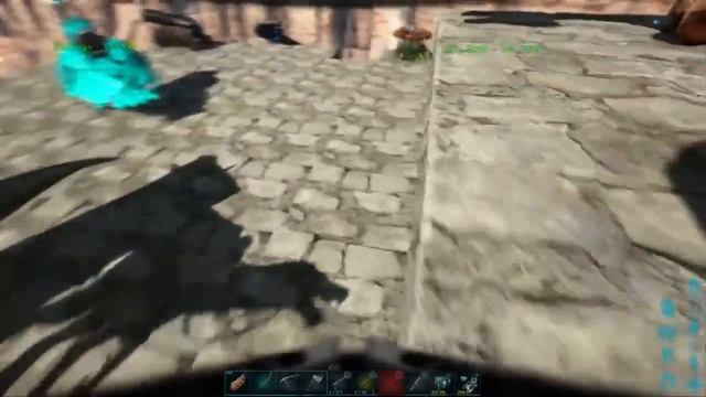 Ark