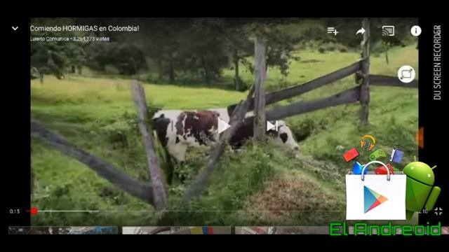 Prueba de calidad de vídeo en youtube. 144p 240p 360p 480p 720p y 1080p