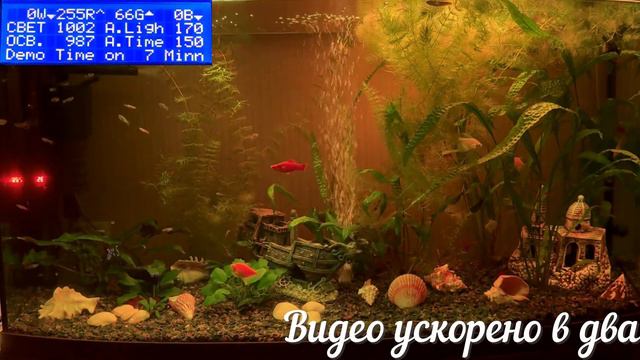 Как выглядит аквариум при разном освещении?