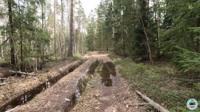 По дороге от Струи до реки Тасы