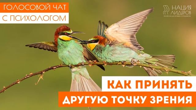 Как принять другую точку зрения. Голосовой чат с психологом Нации Лидеров
