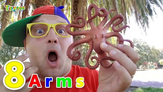 Toysee finds an OCTOPUS! Learn Sea Animal with Fun facts for children