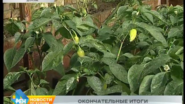 Итоги сельхозпереписи: число аграрных предприятий значительно сократилось в Иркутской области
