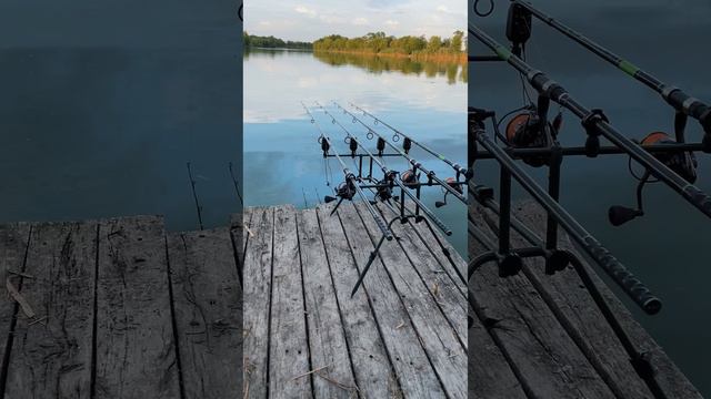 Рыбалка 🐟. #природа #рыбалка #рыбалкамечты #отдыхнарыбалке #красота #музыка #shortvideo #shorts