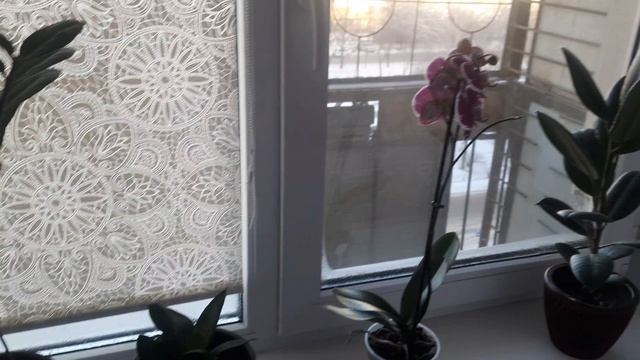 уборка в большом аквариуме