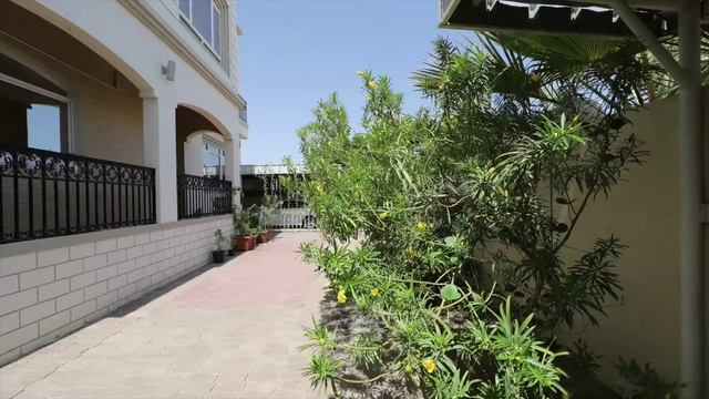 Canon 6D mark2(4k) Vs Canon 80D Vs Canon 77D Built-in time lapse  great results by Salim Barwani