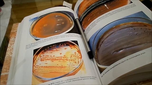 Видео для врачей!Обеззараживание помещения,стерилизация.