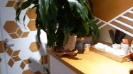 Херсон. Уютное кафе на ХБК. Fee de cafe. Где выпить кофе и перекусить в Херсоне.