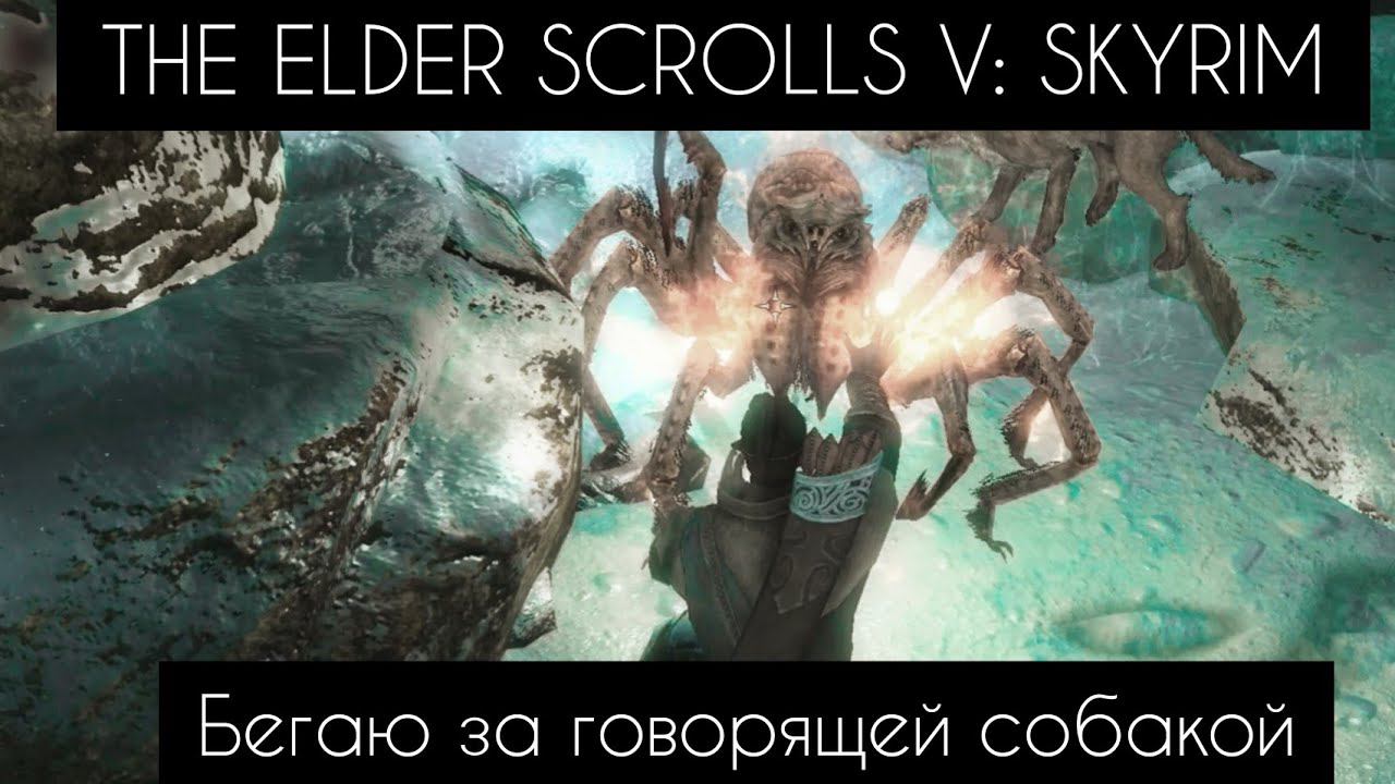 #THEELDERSCROLLS V: SKYRIM Бегаю за псом, не знаю зачем!