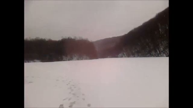 На Даманском зимой (Барвинок)