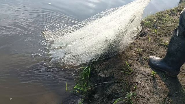 Рыбалка накидкой с берега.