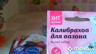 Спасибо Друзья, нас тысяча. Семена цветов на 2022 год