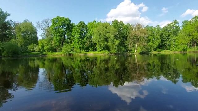Весна!!!   Елагин остров.  Санкт-Петербург